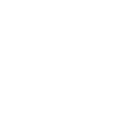 SV Logo